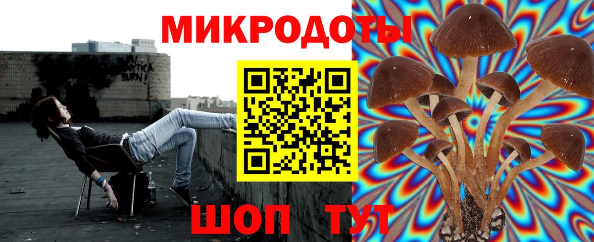 Псилоцибиновые грибы Psilocybine cubensis  Вход с VPN  Гагарин 